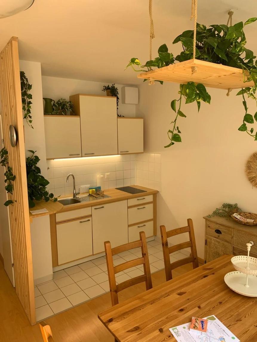 Apartment Josefine Im Zentrum, Kurz- Und Langzeitaufenthalte *